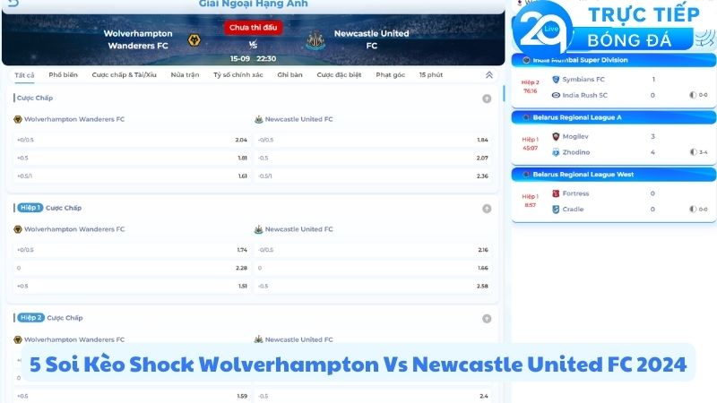 wolverhampton-wander-vs-newcastle-united-fc-2