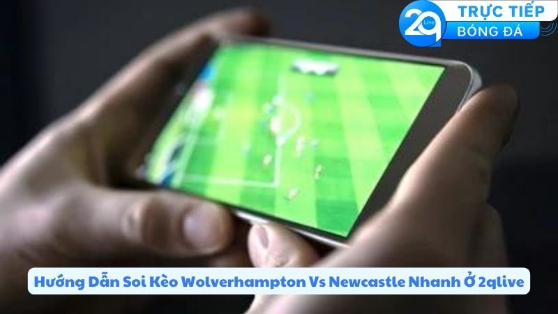 wolverhampton-wander-vs-newcastle-united-fc-3