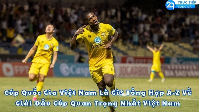 cup-quoc-gia-viet-nam-la-gi-1