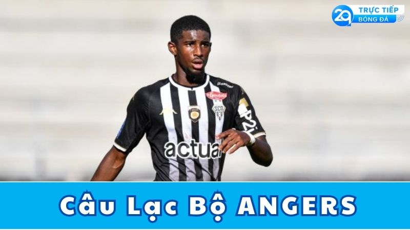 cau-lac-bo-angers