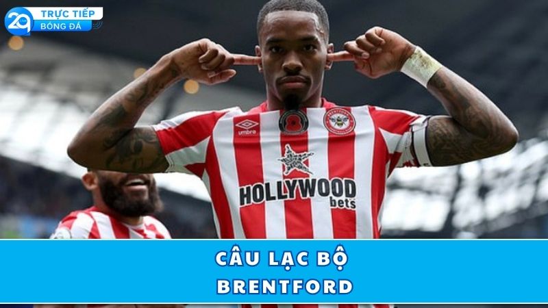 cau-lac-bo-brentford-gioi-thieu