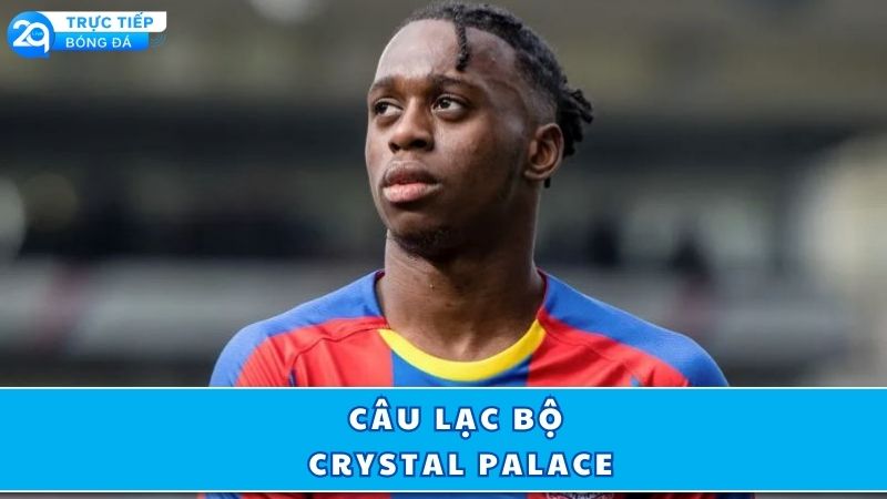 cau-lac-bo-crystal-palace