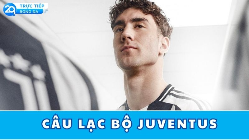 cau-lac-bo-juventus-nhan-dinh-ve-cau-lac-bo-juventus