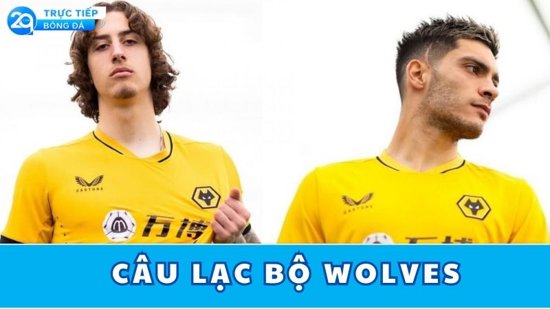 câu-lạc-bộ-wolves