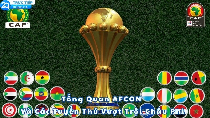 ket-qua-bong-da-afcon-1