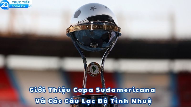 ket-qua-bong-da-copa-sudamericana-1