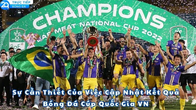 ket-qua-bong-da-cup-quoc-gia-viet-nam-2