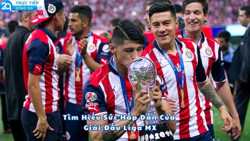 lich-thi-dau-liga-mx-1