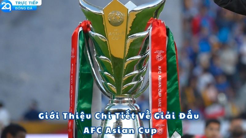 soi-keo-bong-da-afc-asian-cup-1