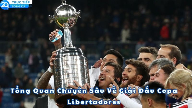 soi-keo-bong-da-copa-libertadores-1