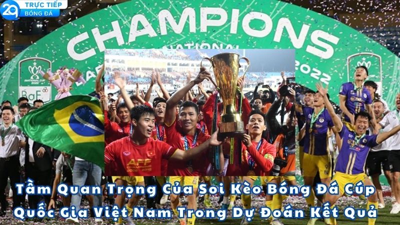 soi-keo-bong-da-cup-quoc-gia-viet-nam-2