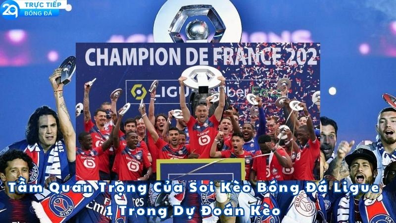 soi-keo-bong-da-ligue-1-2