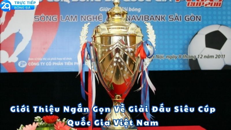 soi-keo-bong-da-sieu-cup-quoc-gia-viet-nam-1