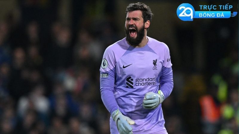 tieu-su-alisson-becker-3